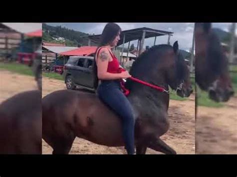 shemale riding compilation|Free Shemale Riding Compilation Porn Videos